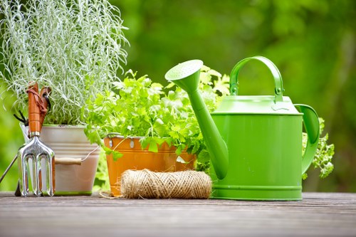 Careful hedge maintenance for a Bow property with limited access