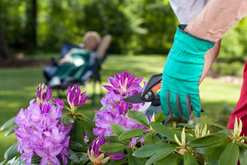 Tree surgeons closing a complaint case with documentation