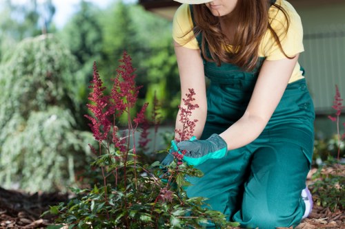 Supplier audit process for an arboricultural business in Bow
